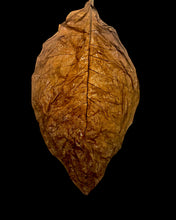 Load image into Gallery viewer, Cognac Leaf  🥃 1 Natural Leaf
